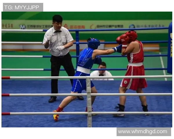 意大利与荷兰激战正酣比赛直播全程回顾与精彩瞬间分析